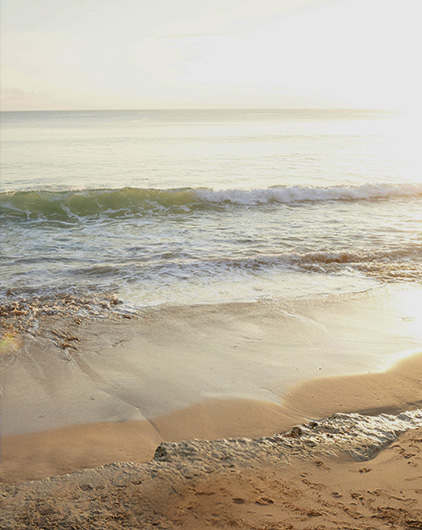 Terrenos Semi Urbanizados cerca de la Costa Yucateca