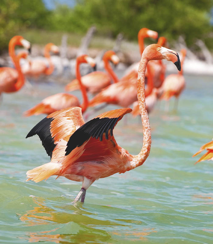 Ubicación Costa Verde